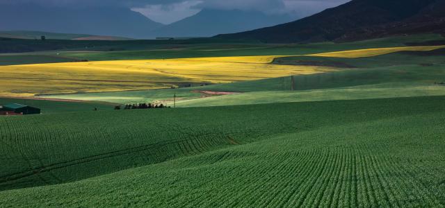 Farmland
